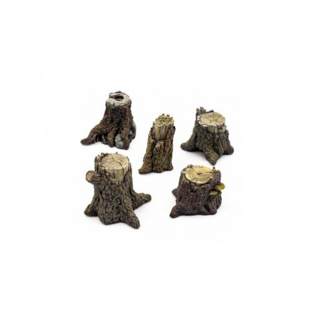 Grands Souches d'Arbres