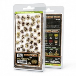 Buisson épineux - FOIN BR©?L©?