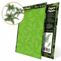 Plantes à  Papier - Fougère