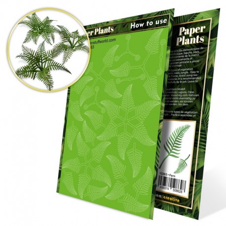 Plantes à  Papier - Fougère