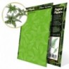 Plantes à  Papier - Fougère