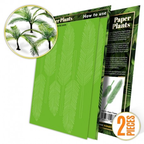Plantes à  Papier - Palmier