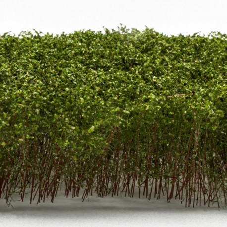 Grands Arbustes - Vert Clair