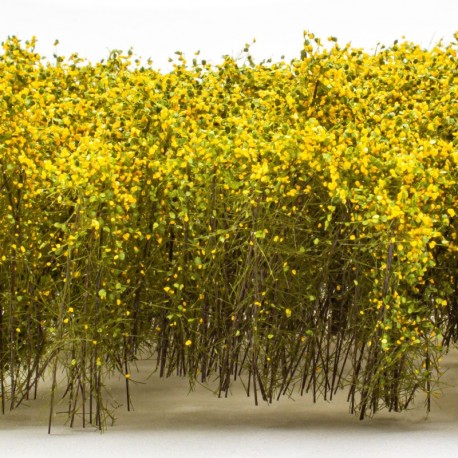 Grands Arbustes - Jeune Vert