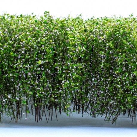 Grands Arbustes - Blanc Vert