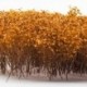 Grands Arbustes - Jaune Automnal
