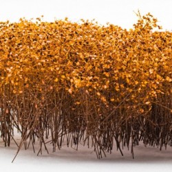 Grands Arbustes - Jaune Automnal