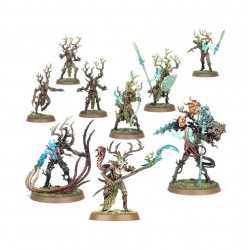 SYLVANETH: LA BRANCHETORVE