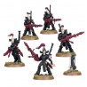 AELDARI: FAUCHEURS NOIRS