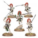 AELDARI: BANSHEES HUANTES