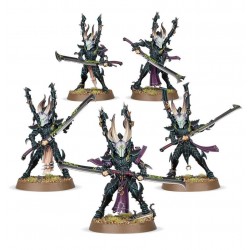 DRUKHARI INCUBES