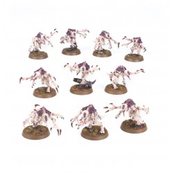 GENESTEALER