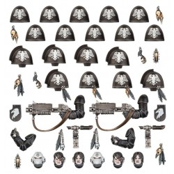 RAVEN GUARD:AMÉLIORATIONS ET DÉCALCOMAN.