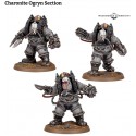 SOLAR AUXILIA: CHARONITE OGRYN SECTION