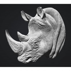 TETE DE RHINO