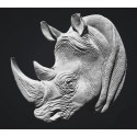 TETE DE RHINO