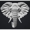 TETE D' ELEPHANT