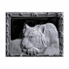 TIGRE EN CADRE