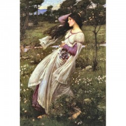 WINDFLOWERS 1/2 ronde-bosse