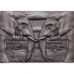 ELEPHANTS facing