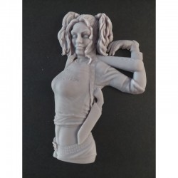 HARLEY demi-ronde bosse