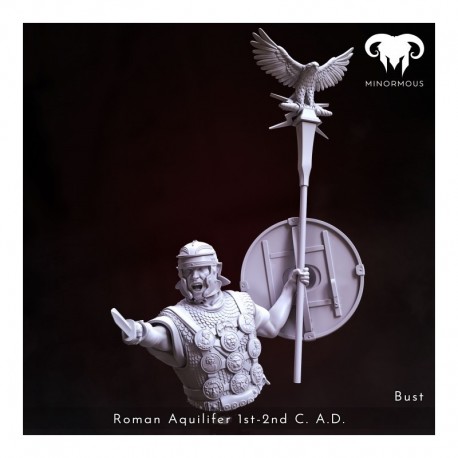 ROMAN AQUILIFER 1st-2nd C. A.D. Looking for the Battlefield Version 3