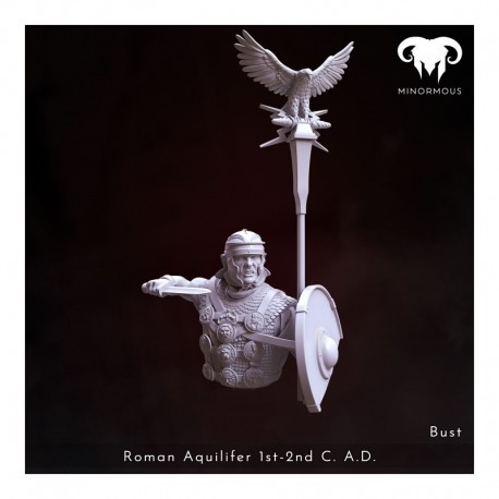 ROMAN AQUILIFER 1st-2nd C. A.D. The Last Stand Version 4