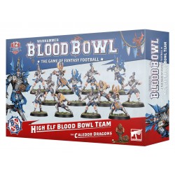 BB : HIGH ELF BBT : THE CALEDOR DRA