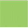 Prince August CLASSIC : Vert Fluo
