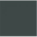 Prince August CLASSIC : Olive Drab