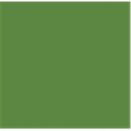 Prince August CLASSIC : Vert Olive