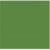 Prince August CLASSIC : Vert Olive